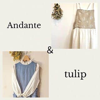 Andante&tulip